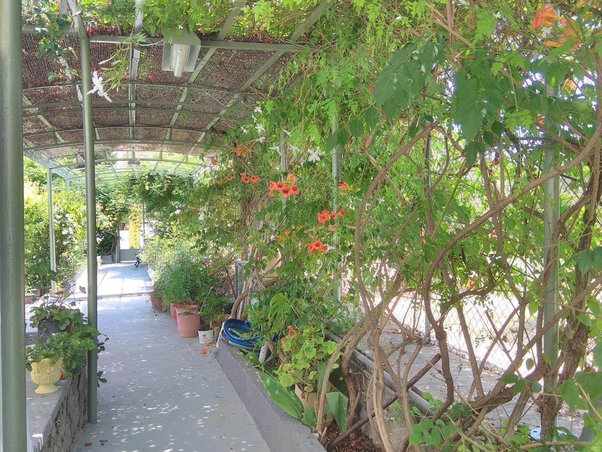 Finikas Rooms Agia Marina  エクステリア 写真